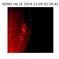 gong - 2024-12-09T02:16:42