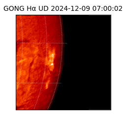 gong - 2024-12-09T07:00:02