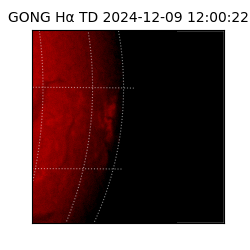 gong - 2024-12-09T12:00:22