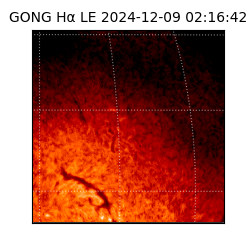 gong - 2024-12-09T02:16:42