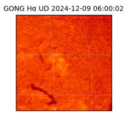 gong - 2024-12-09T06:00:02