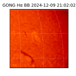 gong - 2024-12-09T21:02:02