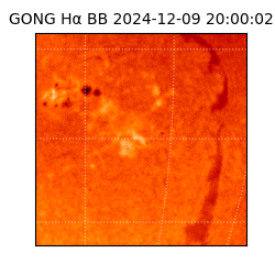 gong - 2024-12-09T20:00:02