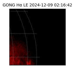 gong - 2024-12-09T02:16:42