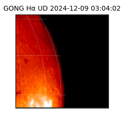 gong - 2024-12-09T03:04:02
