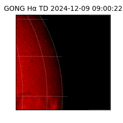 gong - 2024-12-09T09:00:22