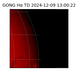 gong - 2024-12-09T13:00:22
