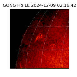 gong - 2024-12-09T02:16:42