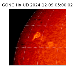 gong - 2024-12-09T05:00:02