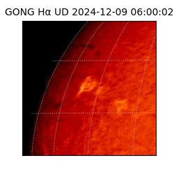 gong - 2024-12-09T06:00:02
