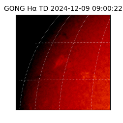 gong - 2024-12-09T09:00:22