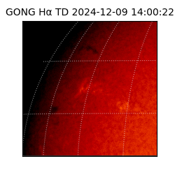 gong - 2024-12-09T14:00:22