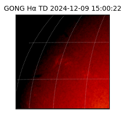 gong - 2024-12-09T15:00:22