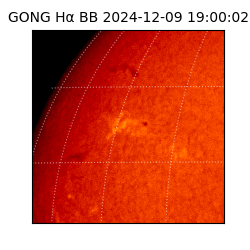 gong - 2024-12-09T19:00:02