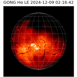 gong - 2024-12-09T02:16:42