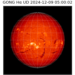 gong - 2024-12-09T05:00:02