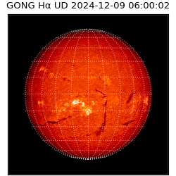 gong - 2024-12-09T06:00:02