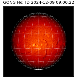 gong - 2024-12-09T09:00:22