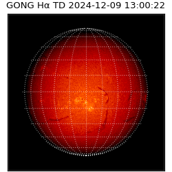 gong - 2024-12-09T13:00:22