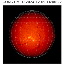 gong - 2024-12-09T14:00:22