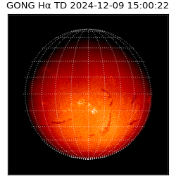 gong - 2024-12-09T15:00:22