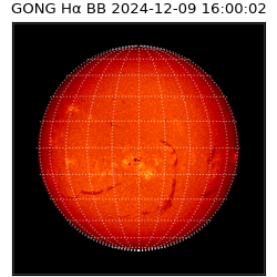 gong - 2024-12-09T16:00:02