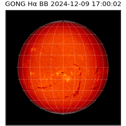 gong - 2024-12-09T17:00:02