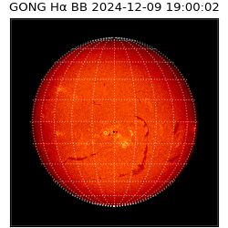 gong - 2024-12-09T19:00:02