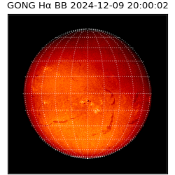 gong - 2024-12-09T20:00:02