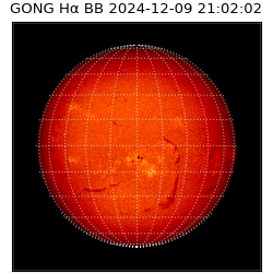gong - 2024-12-09T21:02:02