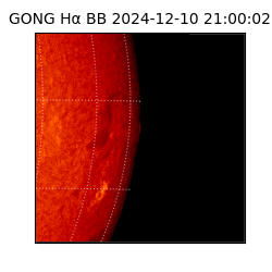 gong - 2024-12-10T21:00:02