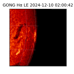 gong - 2024-12-10T02:00:42