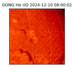 gong - 2024-12-10T08:00:02