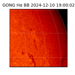 gong - 2024-12-10T19:00:02