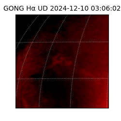 gong - 2024-12-10T03:06:02