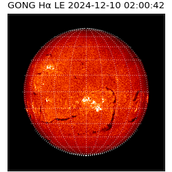 gong - 2024-12-10T02:00:42