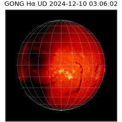 gong - 2024-12-10T03:06:02
