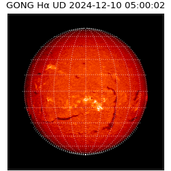 gong - 2024-12-10T05:00:02