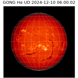 gong - 2024-12-10T06:00:02