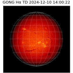 gong - 2024-12-10T14:00:22