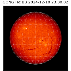 gong - 2024-12-10T23:00:02