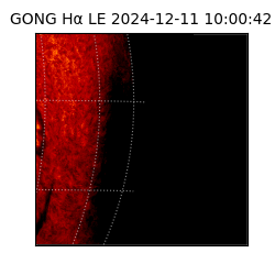 gong - 2024-12-11T10:00:42