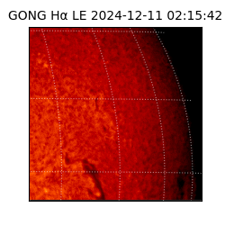 gong - 2024-12-11T02:15:42