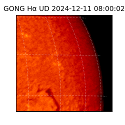 gong - 2024-12-11T08:00:02