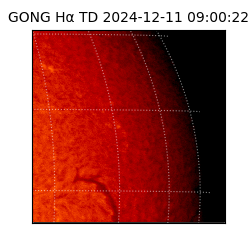 gong - 2024-12-11T09:00:22