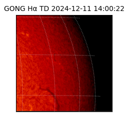 gong - 2024-12-11T14:00:22