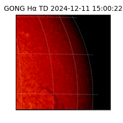 gong - 2024-12-11T15:00:22