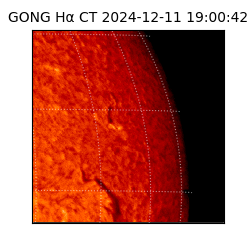 gong - 2024-12-11T19:00:42