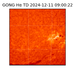 gong - 2024-12-11T09:00:22