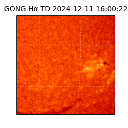 gong - 2024-12-11T16:00:22